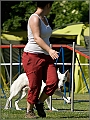 DSC_2346